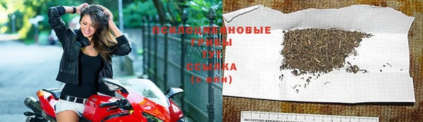 винт Алексин