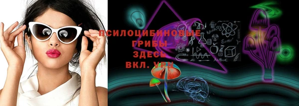 прущий лед Алексеевка