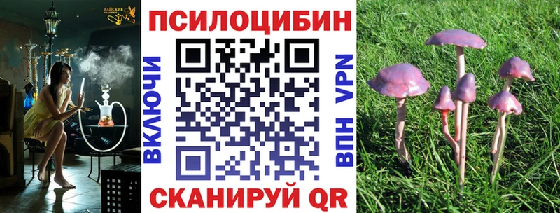 Галлюциногенные грибы Cubensis  мориарти официальный сайт  Дзержинск 